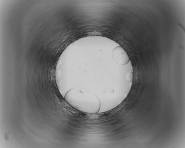 X0000102260658200808221416