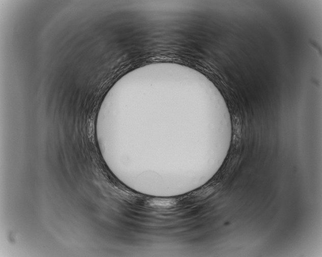 X0000102260659200808221416
