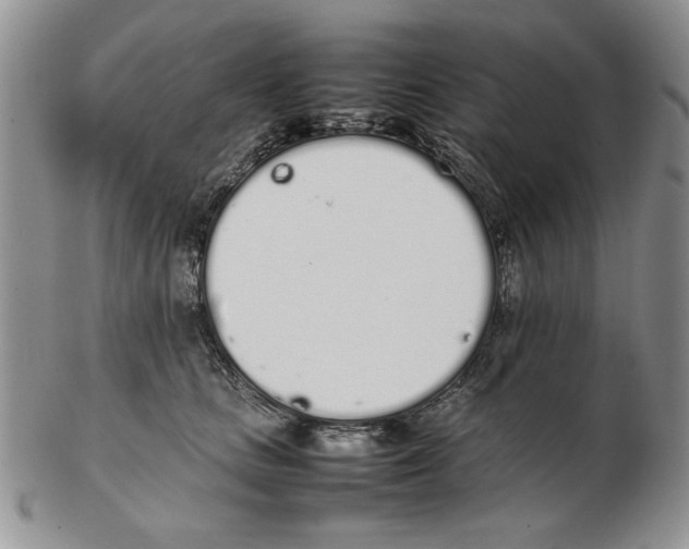 X0000102260661200808221416