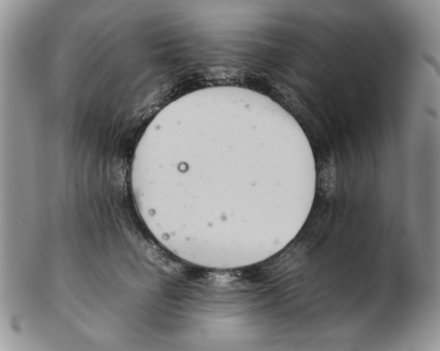 X0000102260662200808221416