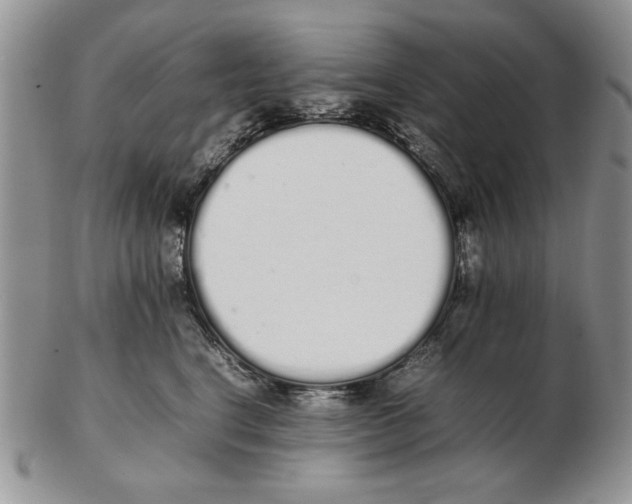 X0000102260664200808221416