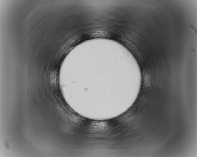 X0000102260665200808221416