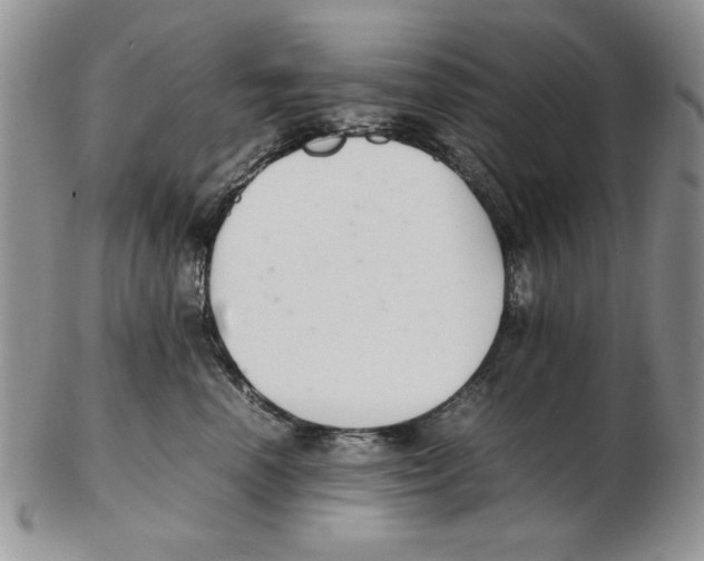 X0000102260666200808221416