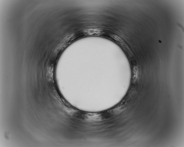 X0000102260667200808221416