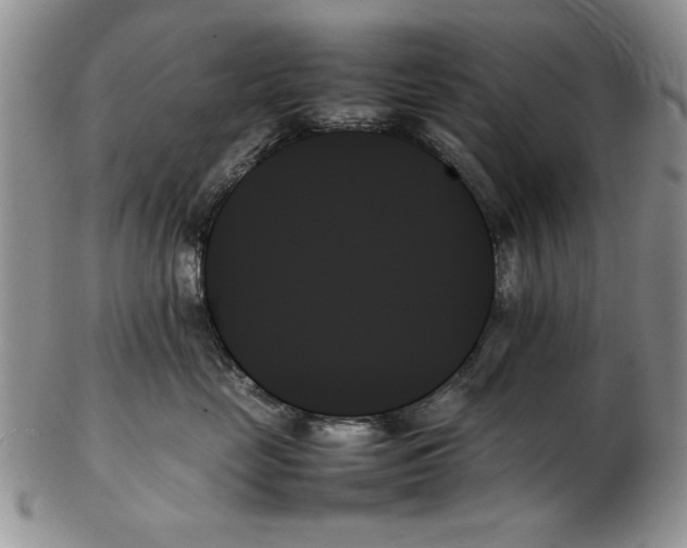 X0000102260669200808221416