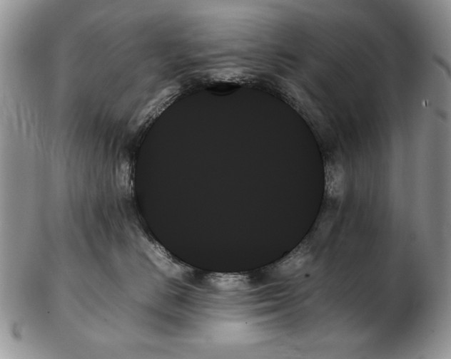 X0000102260670200808221416