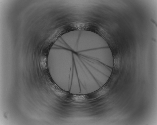 X0000102260671200808221416