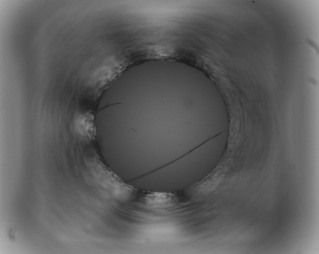 X0000102260672200808221416