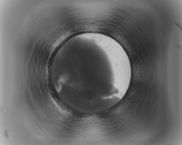 X0000102260674200808221416