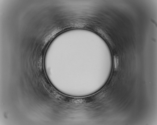 X0000102260675200808221416