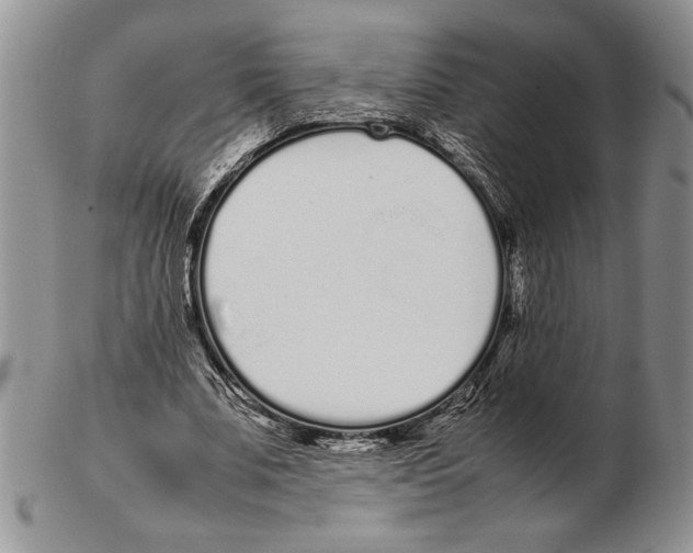 X0000102260679200808221416