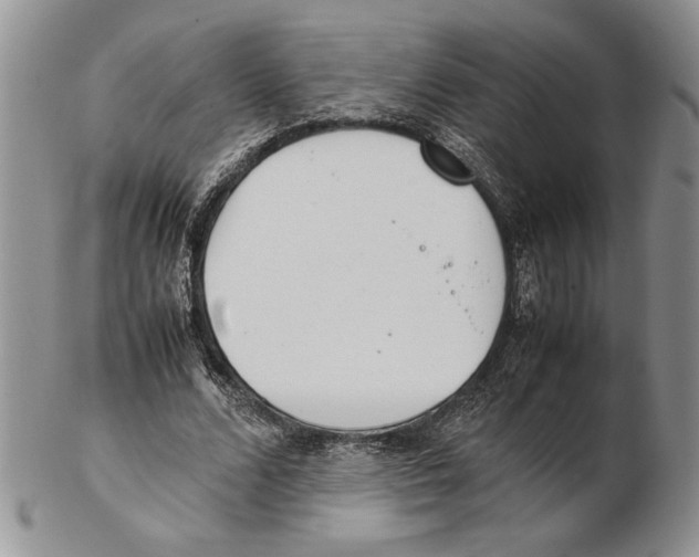 X0000102260680200808221416