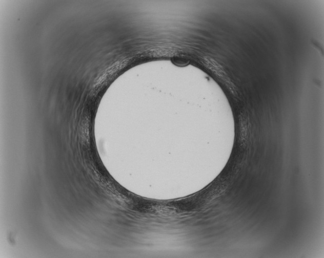 X0000102260681200808221416
