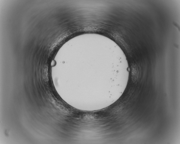 X0000102260684200808221415