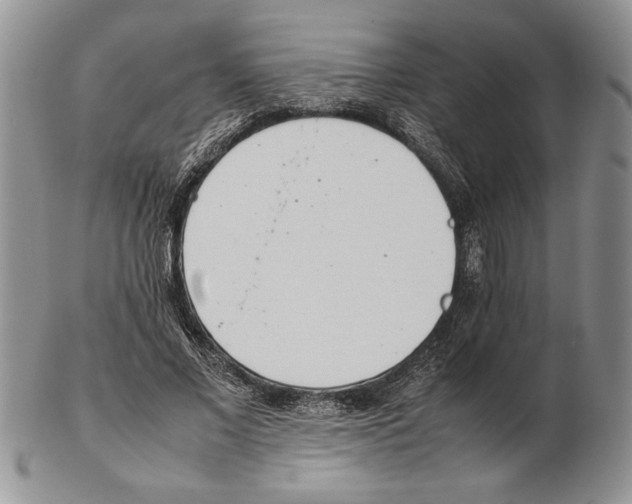 X0000102260685200808221415