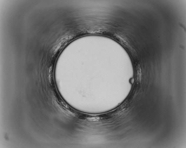 X0000102260687200808221415