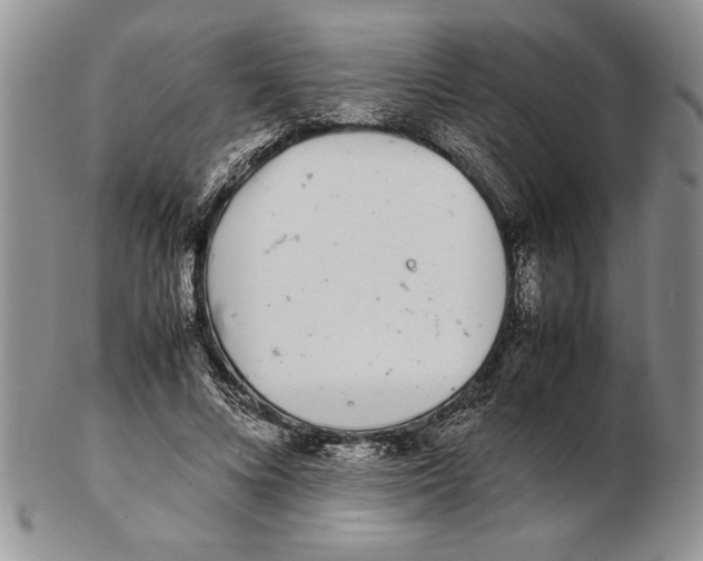 X0000102260688200808221415
