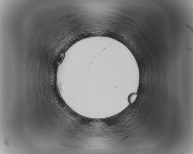 X0000102260689200808221415