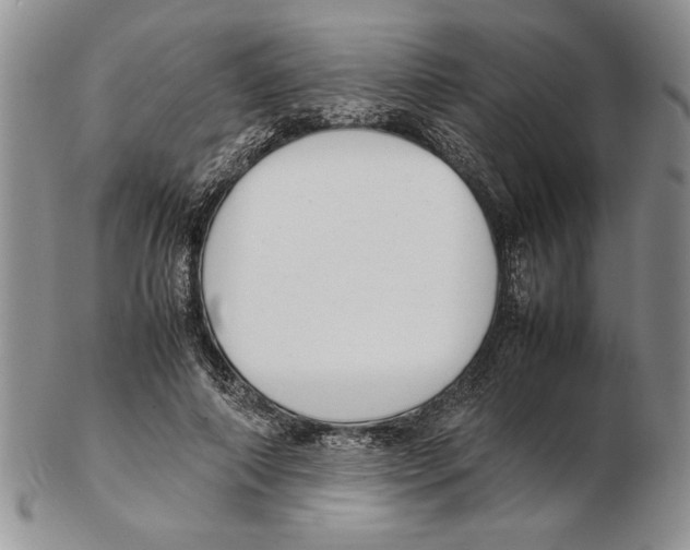 X0000102260690200808221415