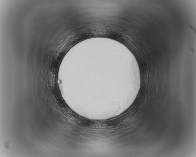 X0000102260691200808221415