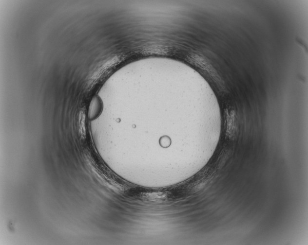 X0000102260692200808221415