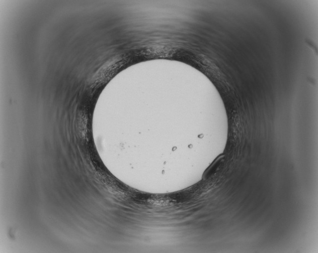 X0000102260693200808221415