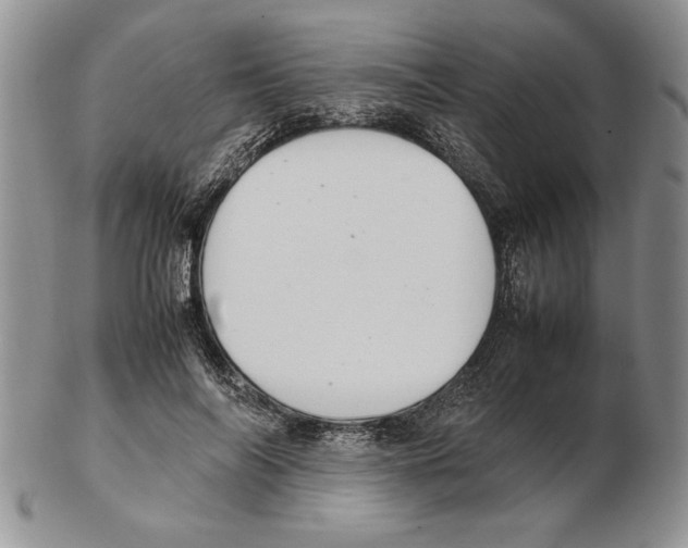 X0000102260694200808221415
