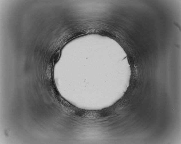 X0000102260695200808221415