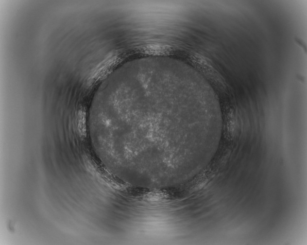 X0000102260696200808221415