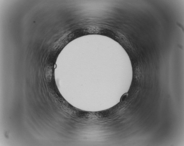 X0000102260697200808221415