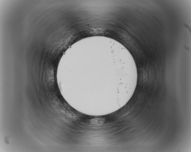 X0000102260700200808221415
