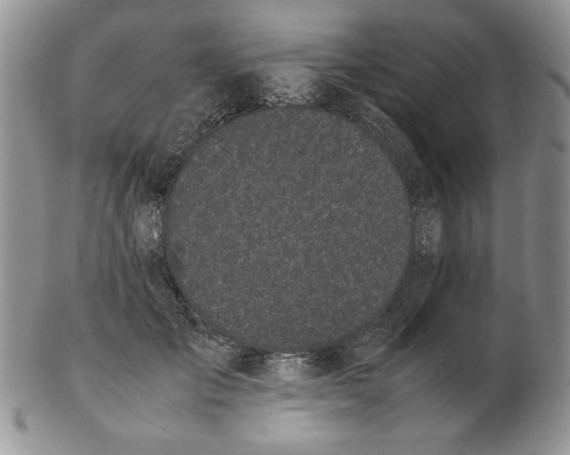 X0000102260701200808221415