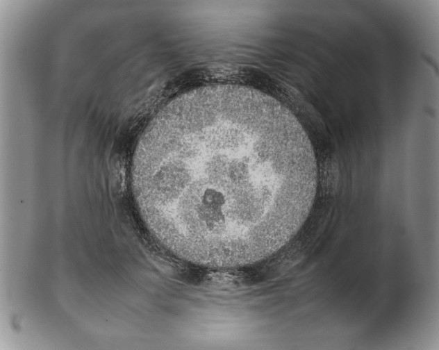 X0000102260703200808221415