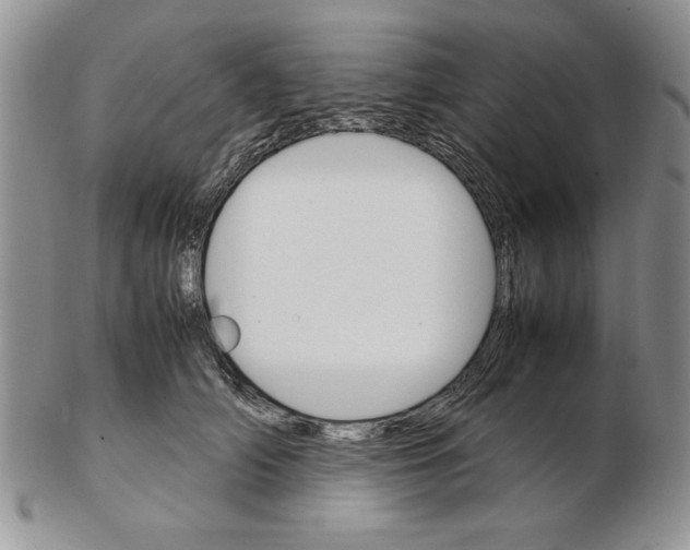 X0000102260706200808221415