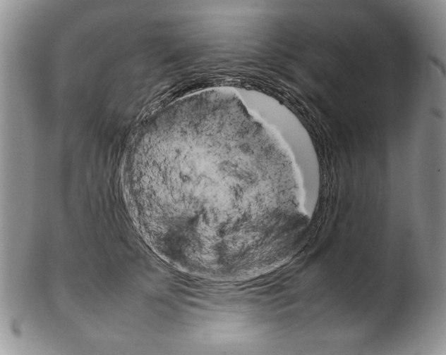 X0000102260707200808221415