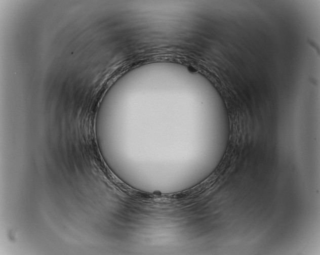 X0000102260708200808221415