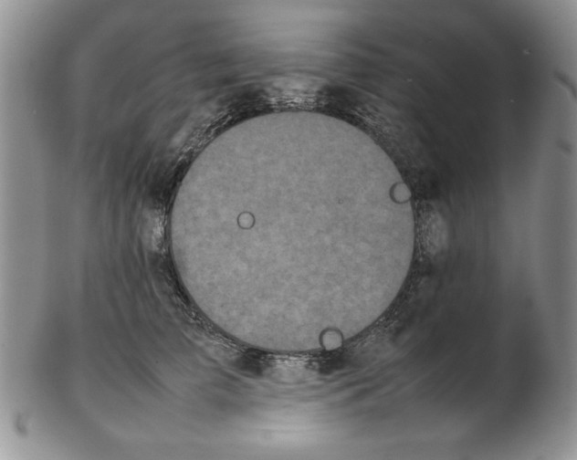 X0000102260709200808221415