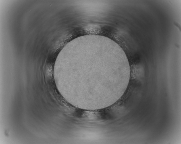 X0000102260713200808221415