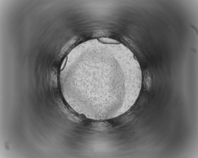 X0000102260716200808221415