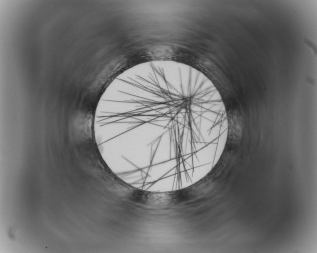 X0000102260717200808221415