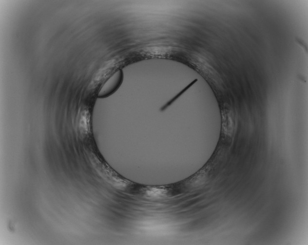 X0000102260718200808221415