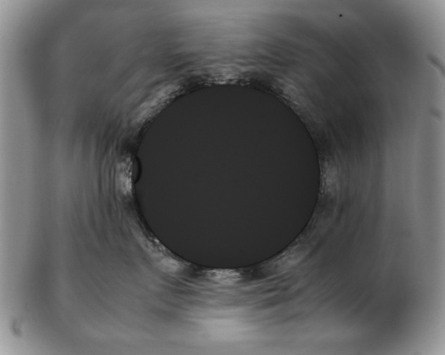 X0000102260719200808221415