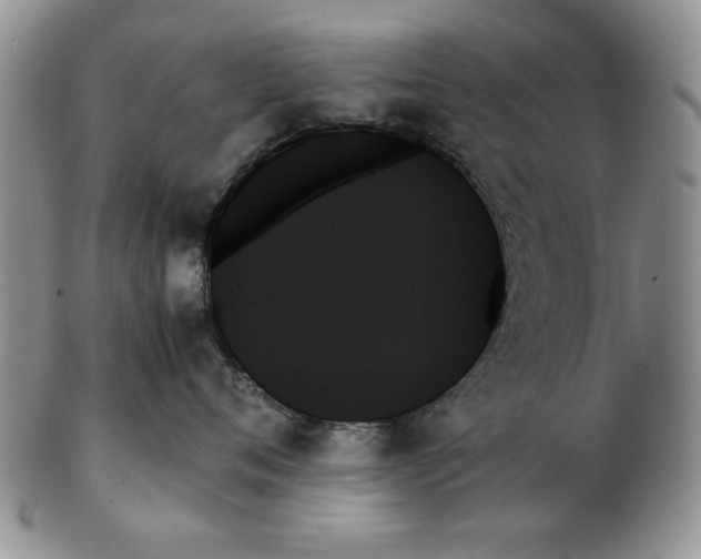 X0000102260720200808221415