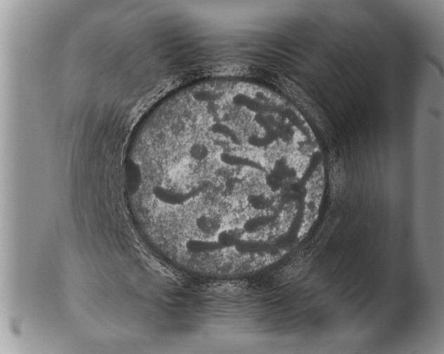 X0000102260721200808221414
