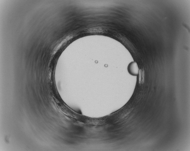 X0000102260723200808221414