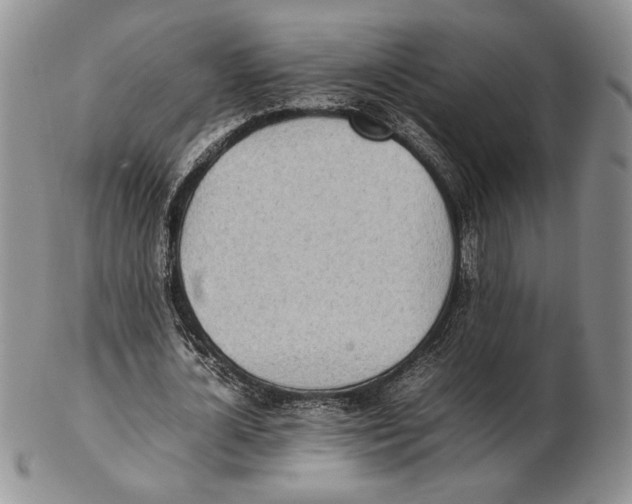 X0000102260724200808221414