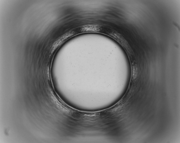 X0000102260725200808221414