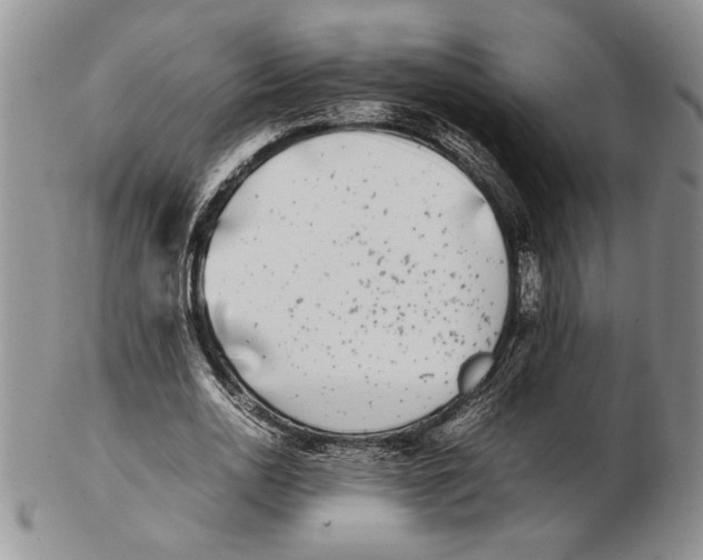 X0000102260726200808221414