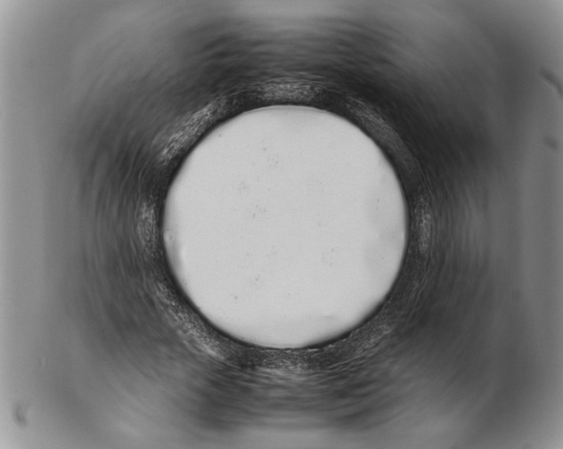 X0000102260729200808221414