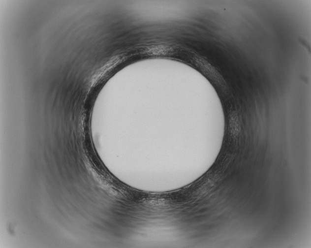 X0000102260730200808221414